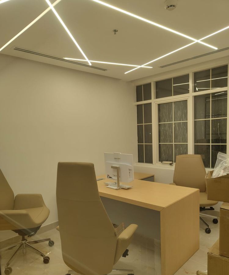 Private Office — Casa Novo Interiors